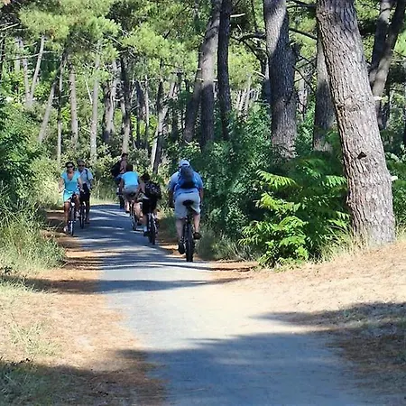Palais Sur - Adorable En Avec Piscine Collective